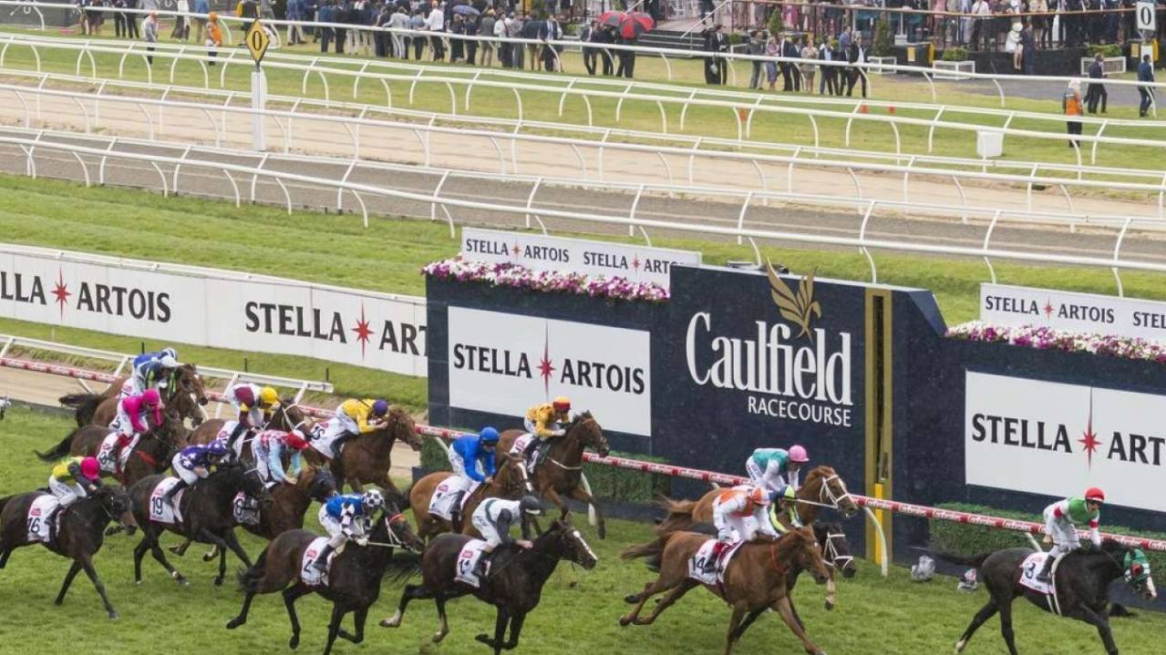 Platinum Lounge Caulfield Cup Carnival 12 Oct 30 Nov 2024