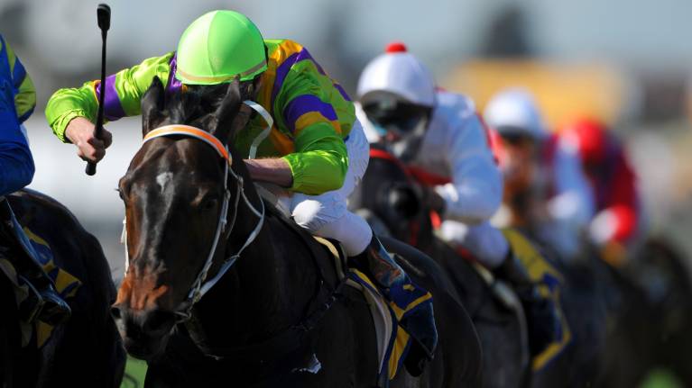 Celebrate Christmas at Market Rasen Racecourse