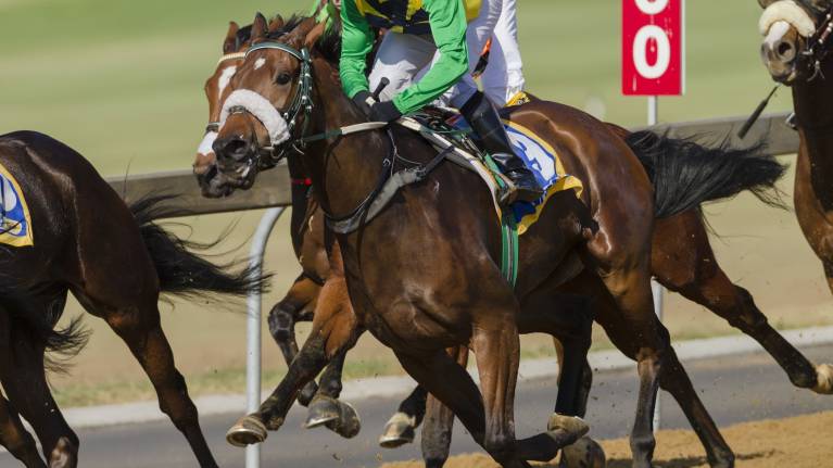 Celebrate Christmas at Warwick Racecourse