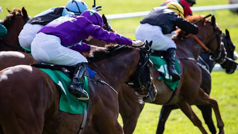 Celebrate Christmas at Warwick Racecourse
