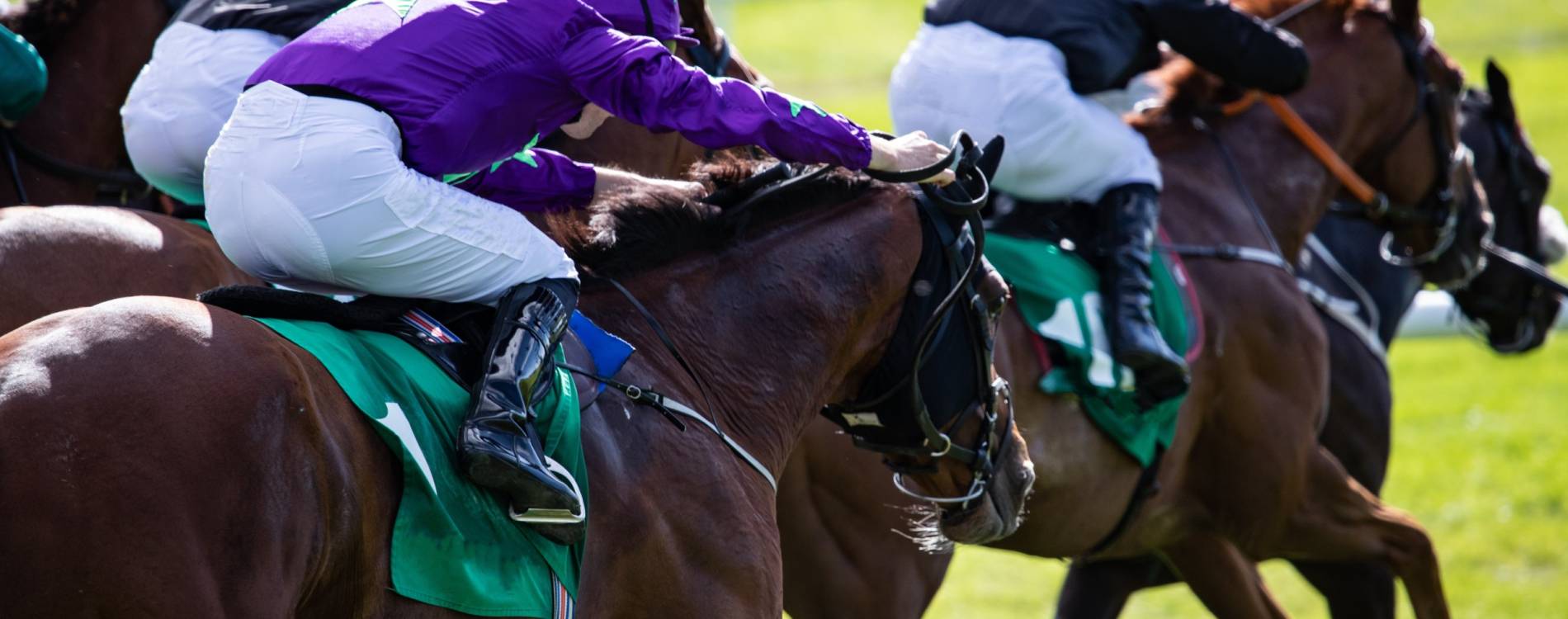 Celebrate Christmas at Warwick Racecourse