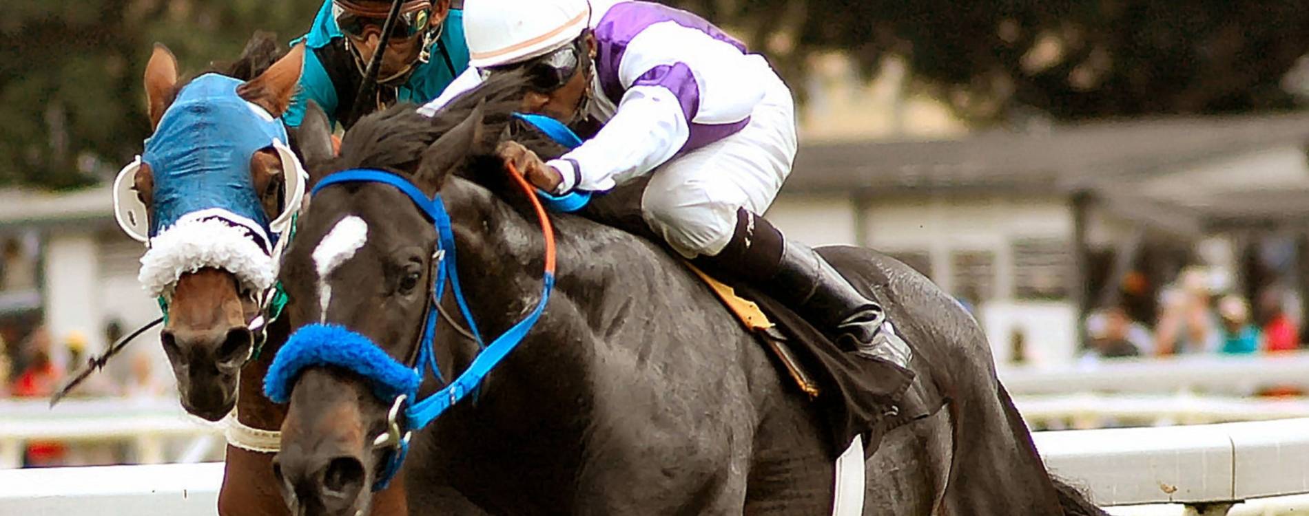 Celebrate Christmas at Warwick Racecourse