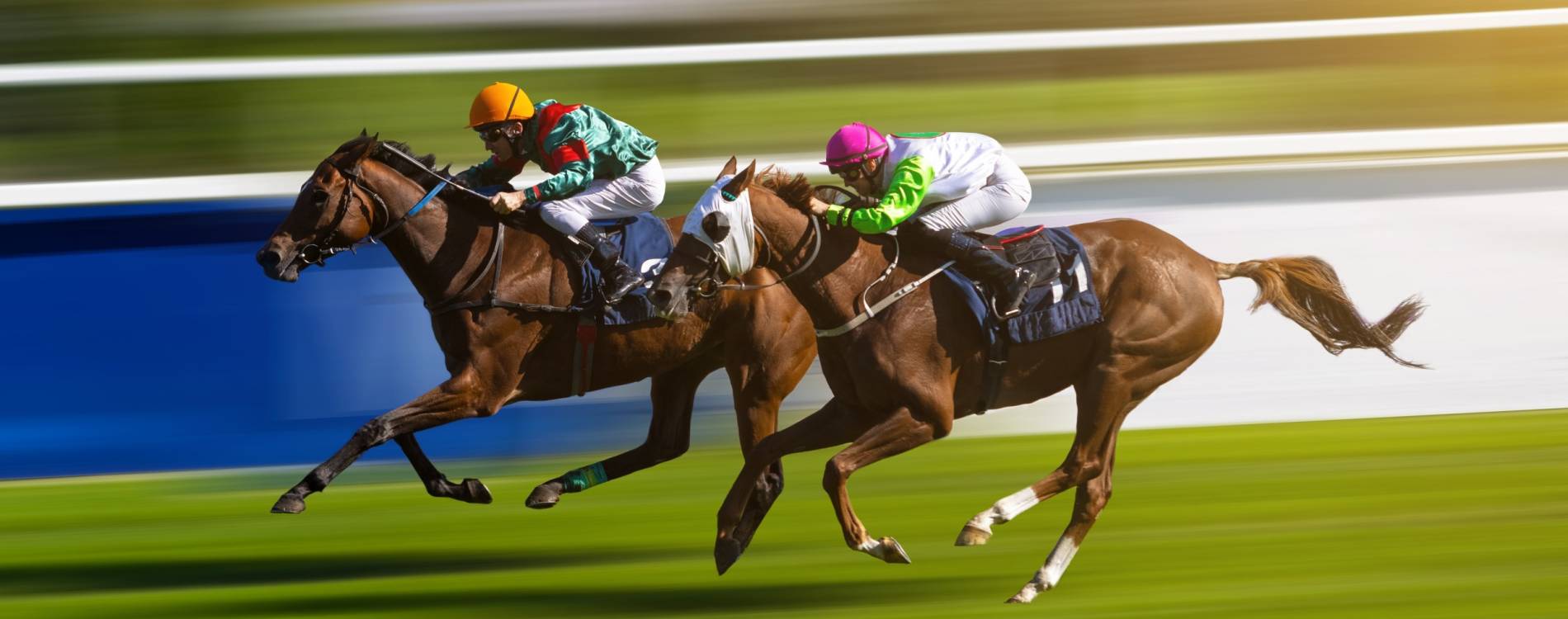 Celebrate Christmas at Warwick Racecourse