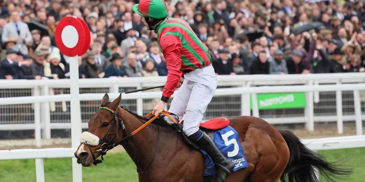 Celebrating at Fairyhouse