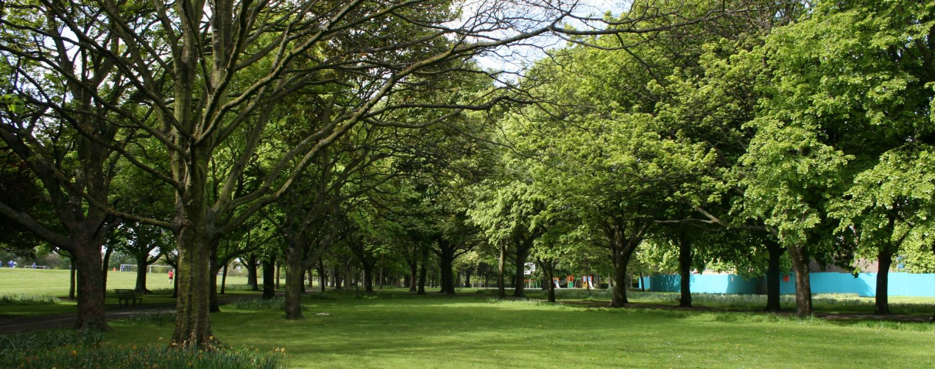 Central Fairview Park