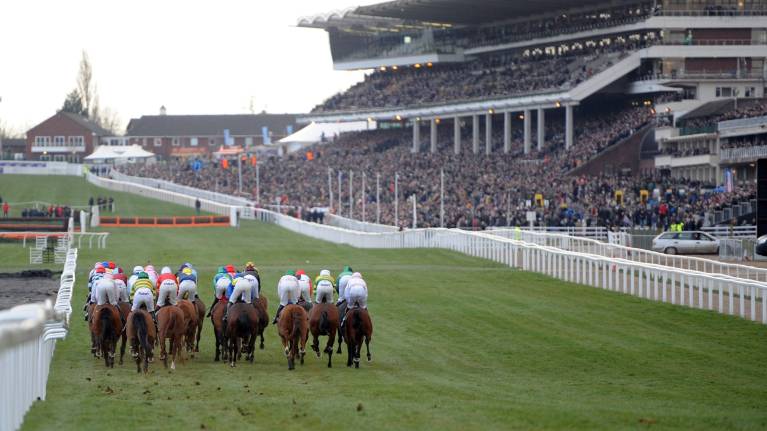 Cheltenham Races Paddock The November Meeting Tickets | 13-15 Nov 2026 | Cheltenham Racecourse ...