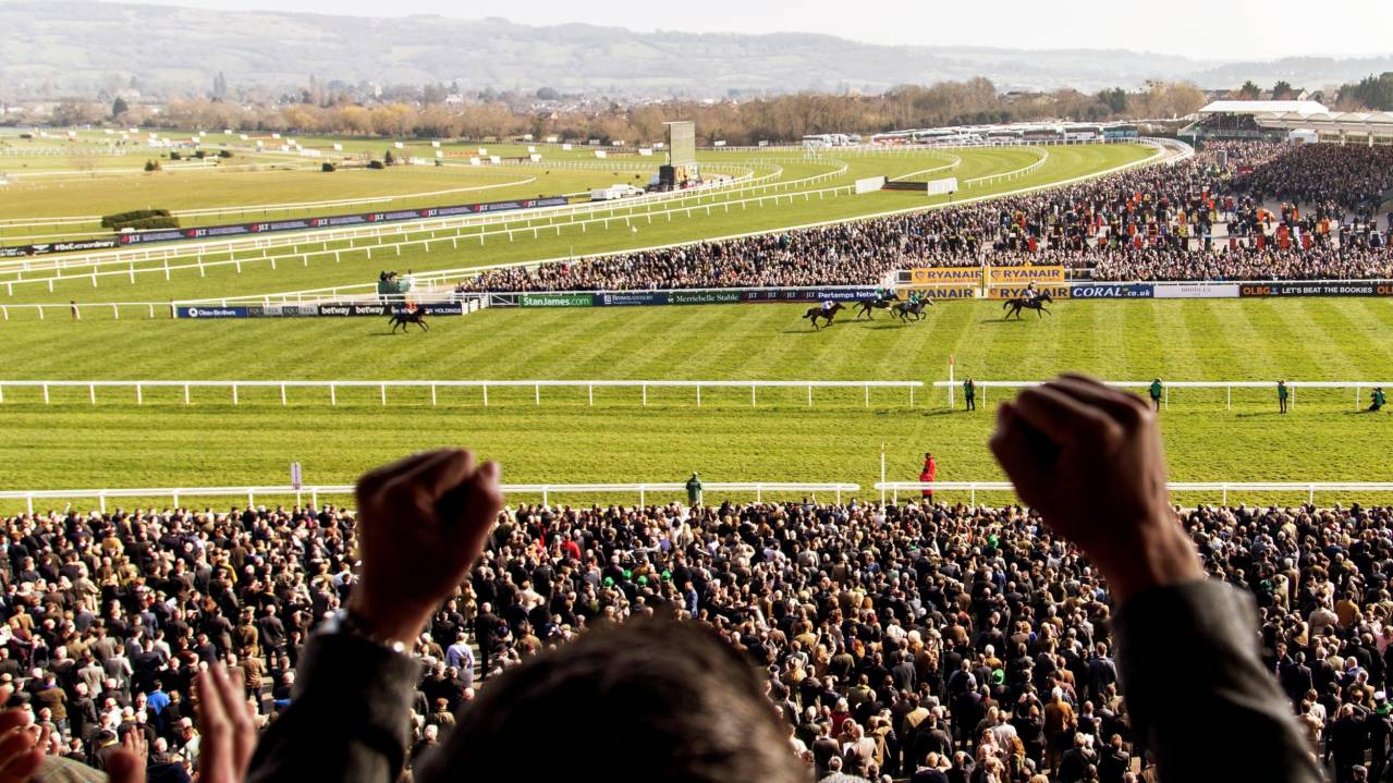 Racecourse View Seating Cheltenham Festival 1114 Mar 2025