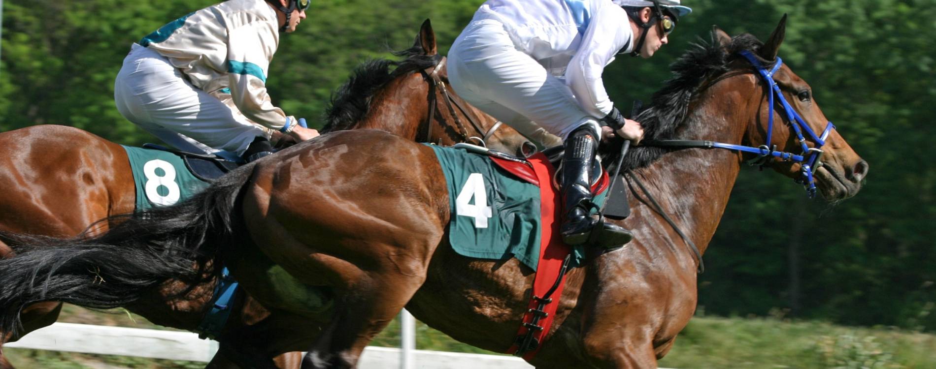 Christmas Parties Raceday