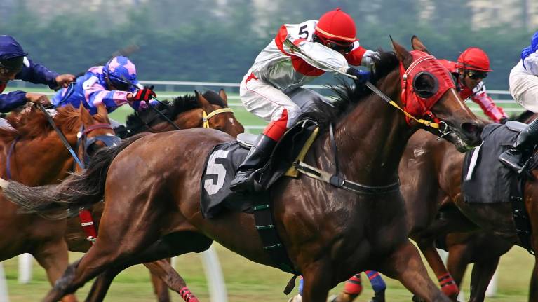 Christmas Party Raceday