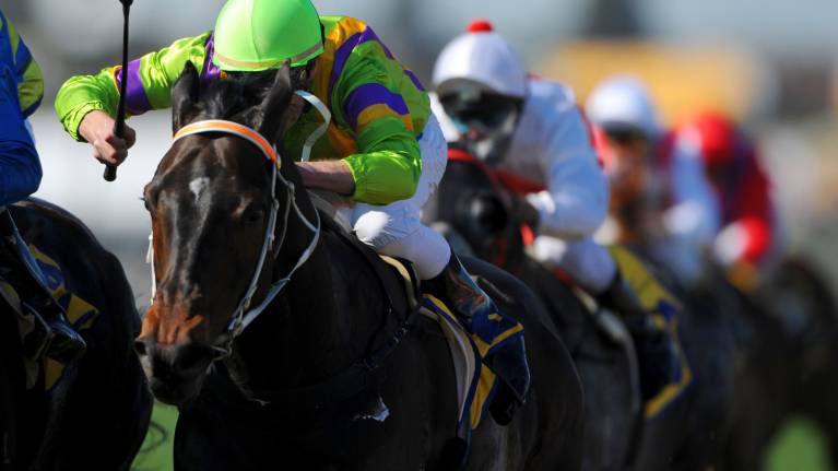 Christmas Party Raceday