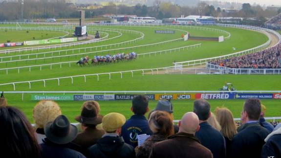 Club Enclosure viewing