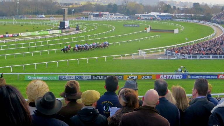 Club Enclosure viewing