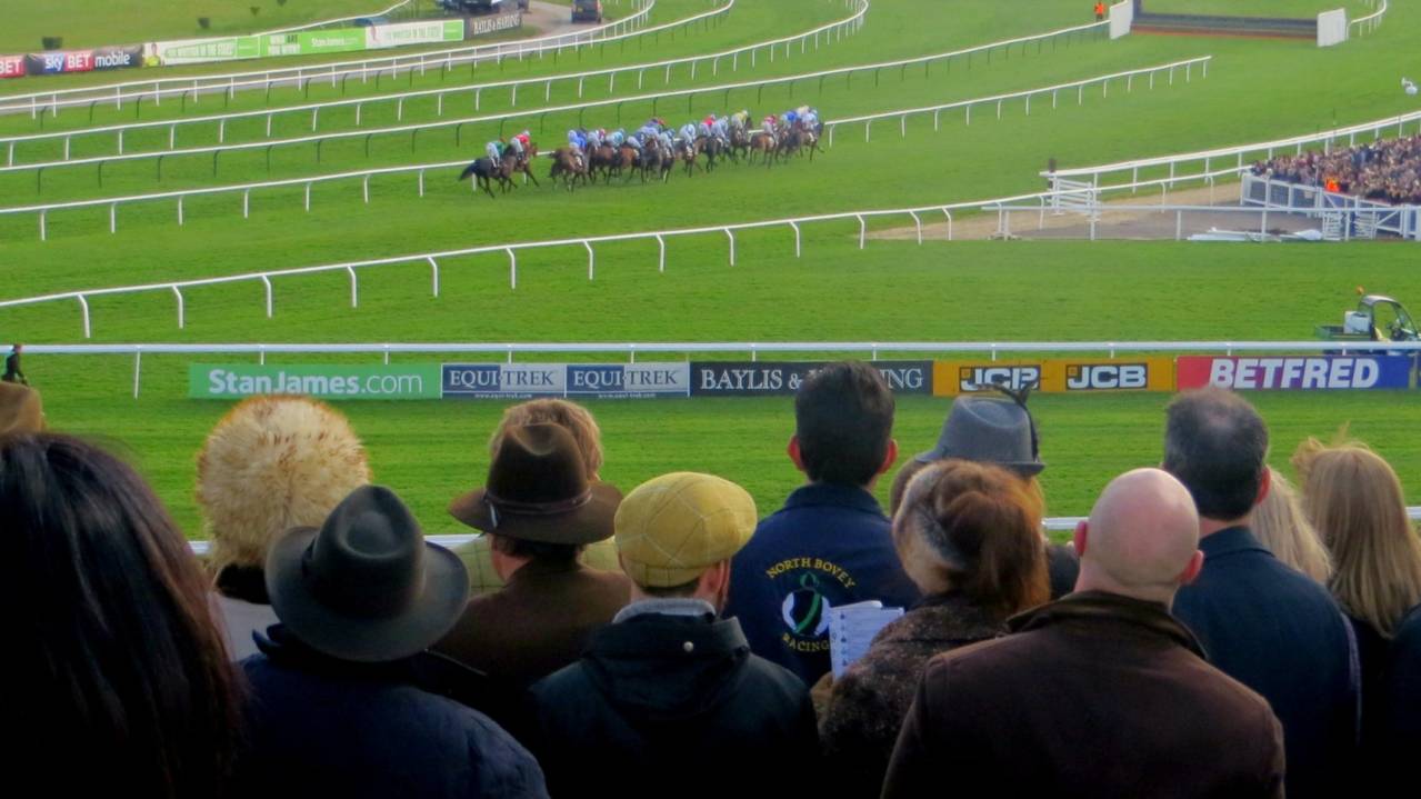 Club Enclosure viewing