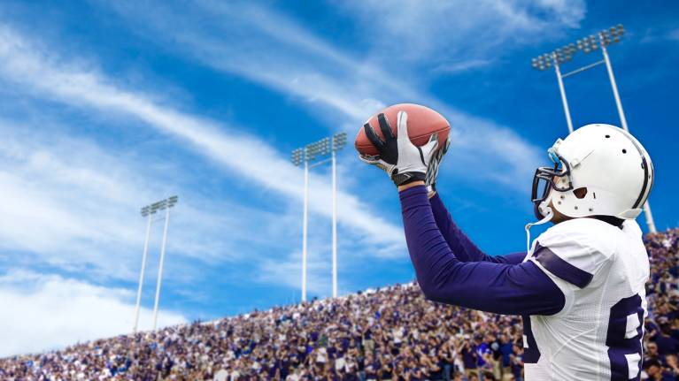 Complete Guide to Attending an NFL Game