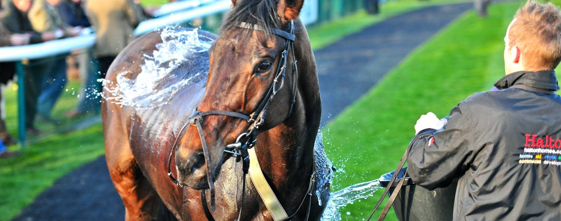 Cooling down after the race
