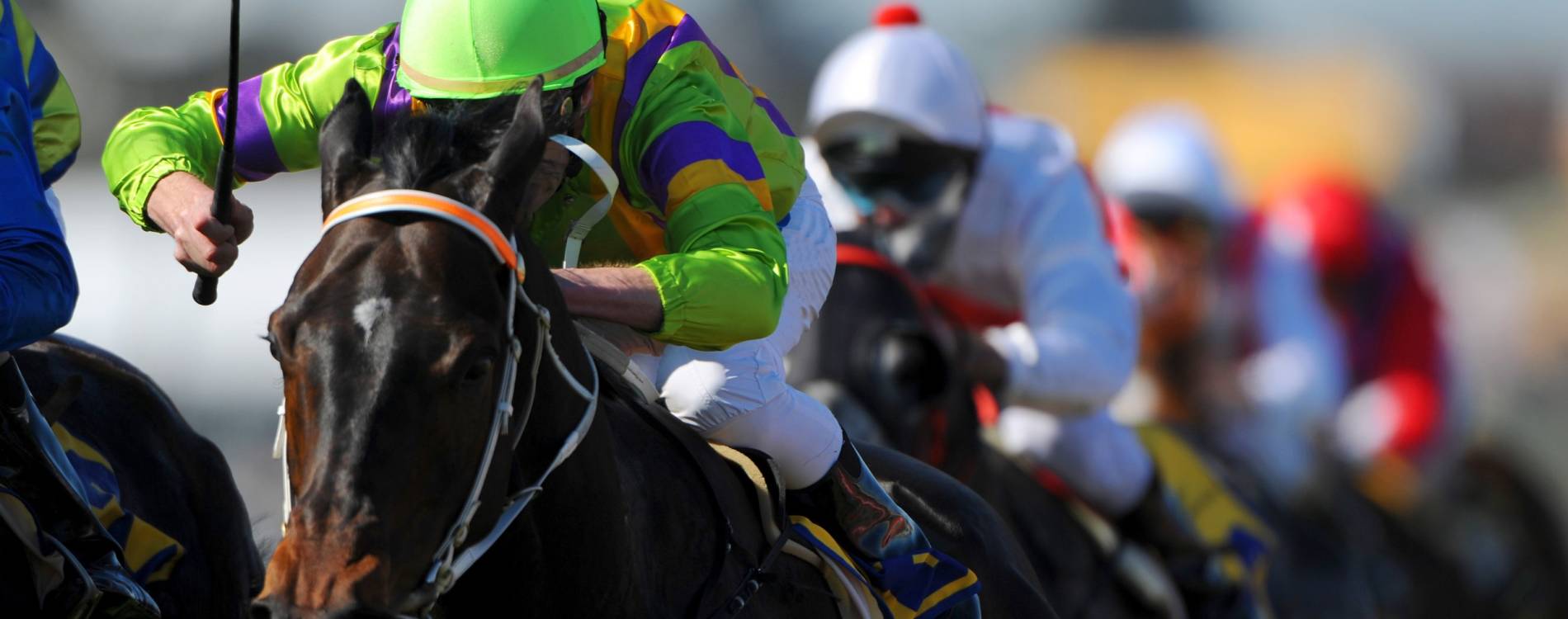 County Race Day