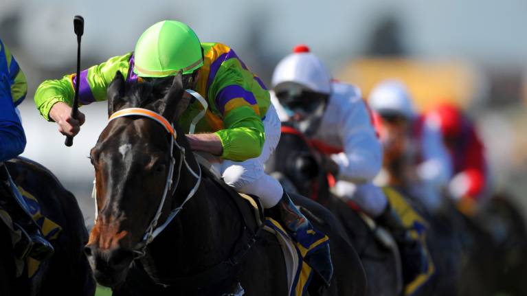 VRC Community Race Day