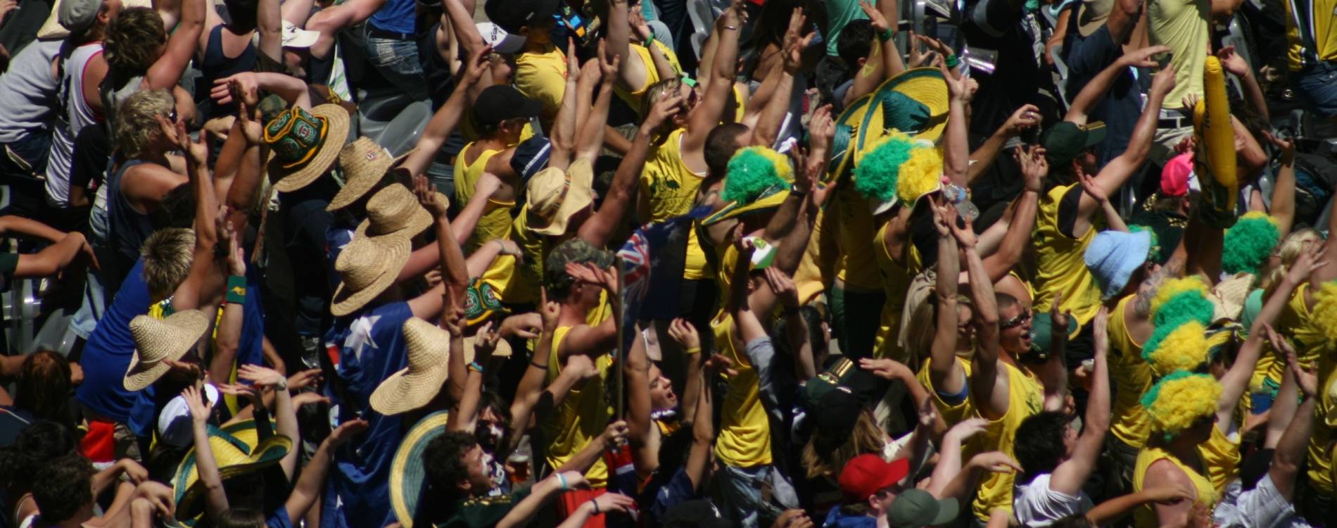 Cricket fans enjoying a match