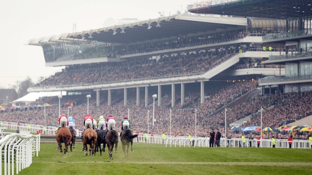 Crowds in the stands at Cheltenham Festival