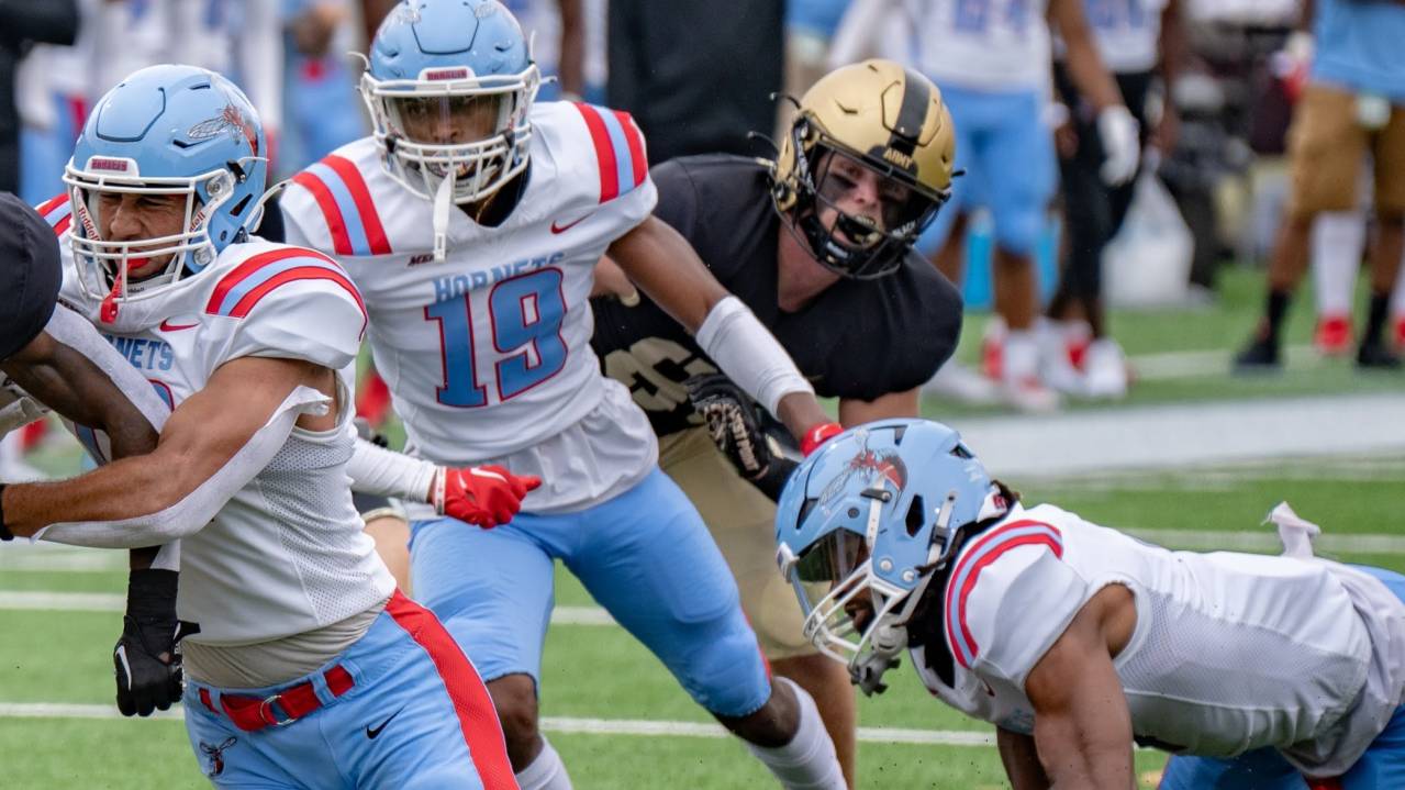 Delaware State Hornets represent Delaware State University