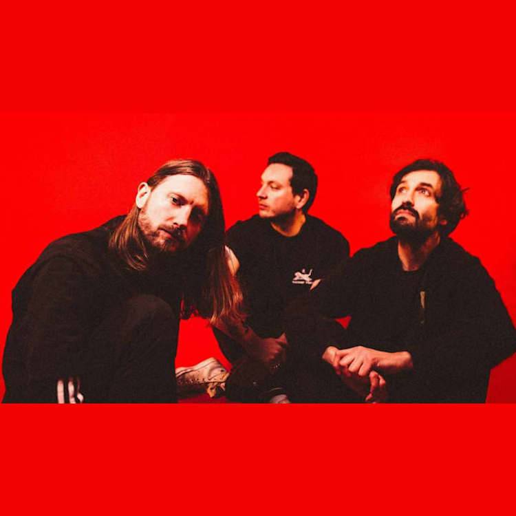 Dinosaur Pile Up