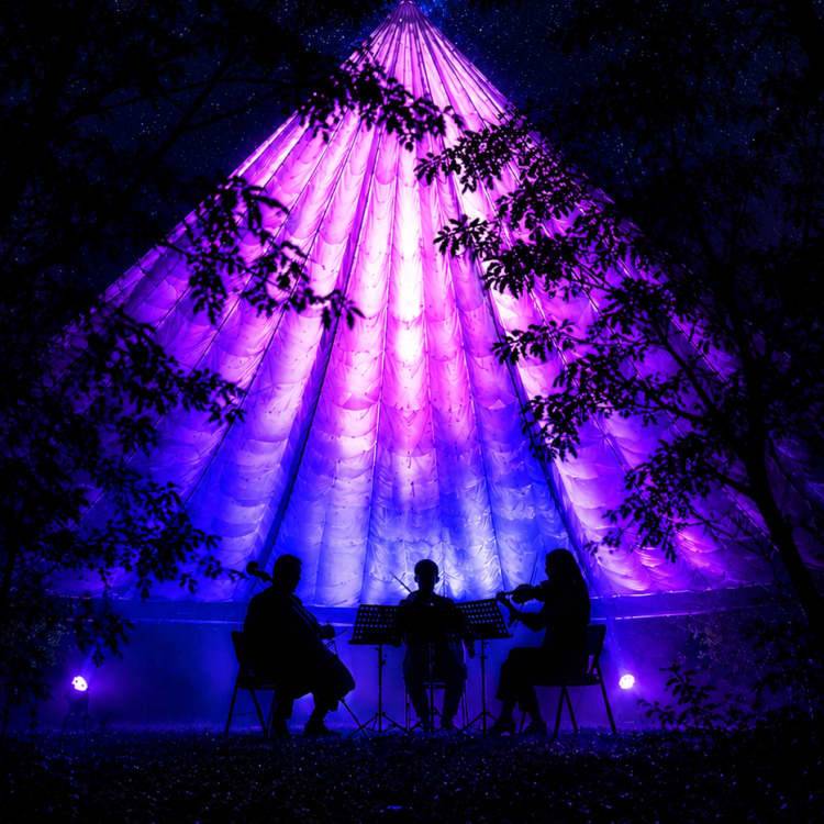 Dlight Experience - Waikato