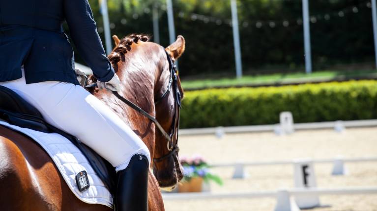 Equestrian Events Now on Koobit… Jump to It!