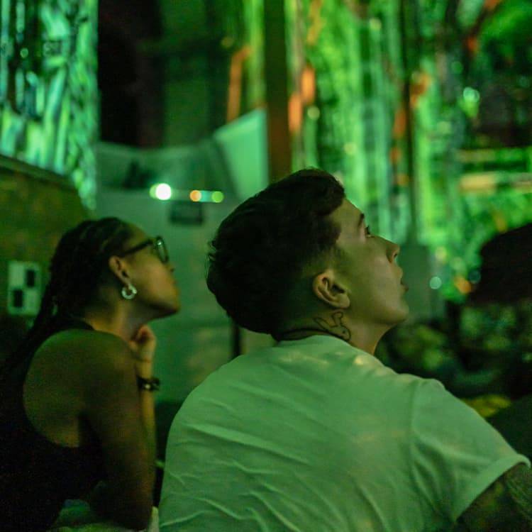 Eonarium Genesis: An Immersive Light Show at Pilgrim Uniting Church