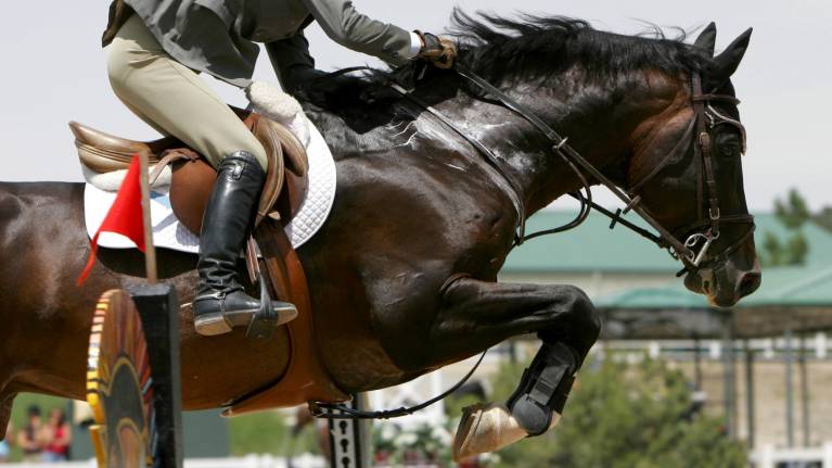 Tickets on Sale for the 2025 Adelaide Equestrian Festival
