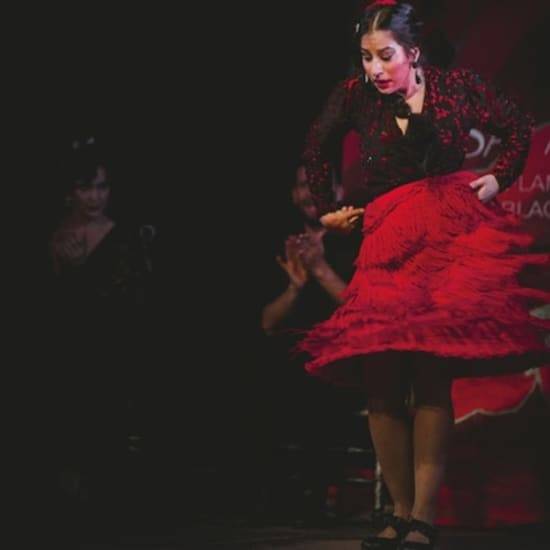 Espectáculo Flamenco Tradicional en Casa Ana Granada