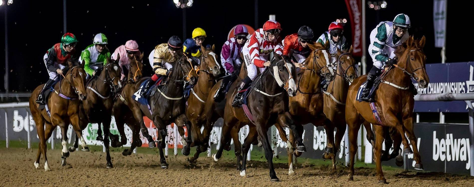 Evening races at Wolverhampton