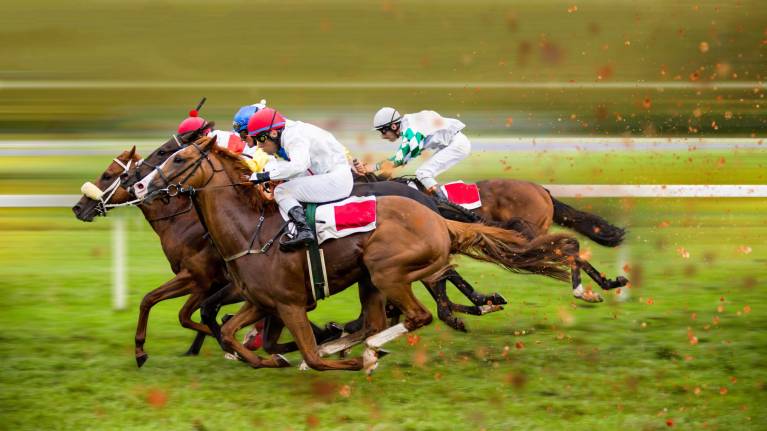Party Night At The Races - Evening Racing