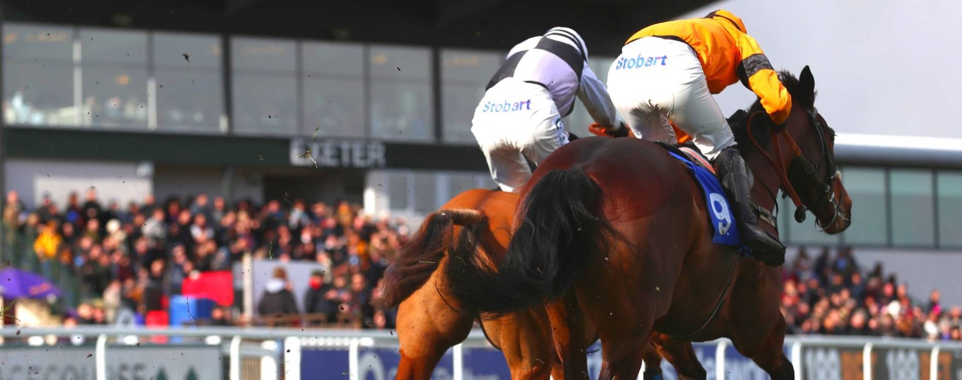 Exeter in the sunshine