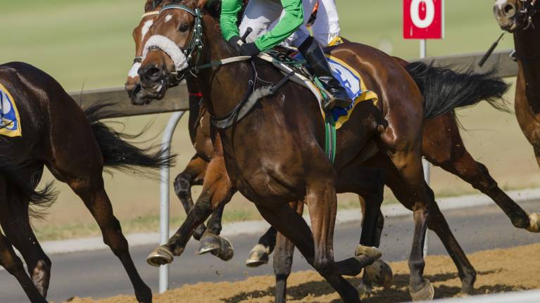 August Bank Holiday Family Fun Day