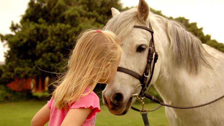 Bank Holiday Family Day – Curtains Up at the Races