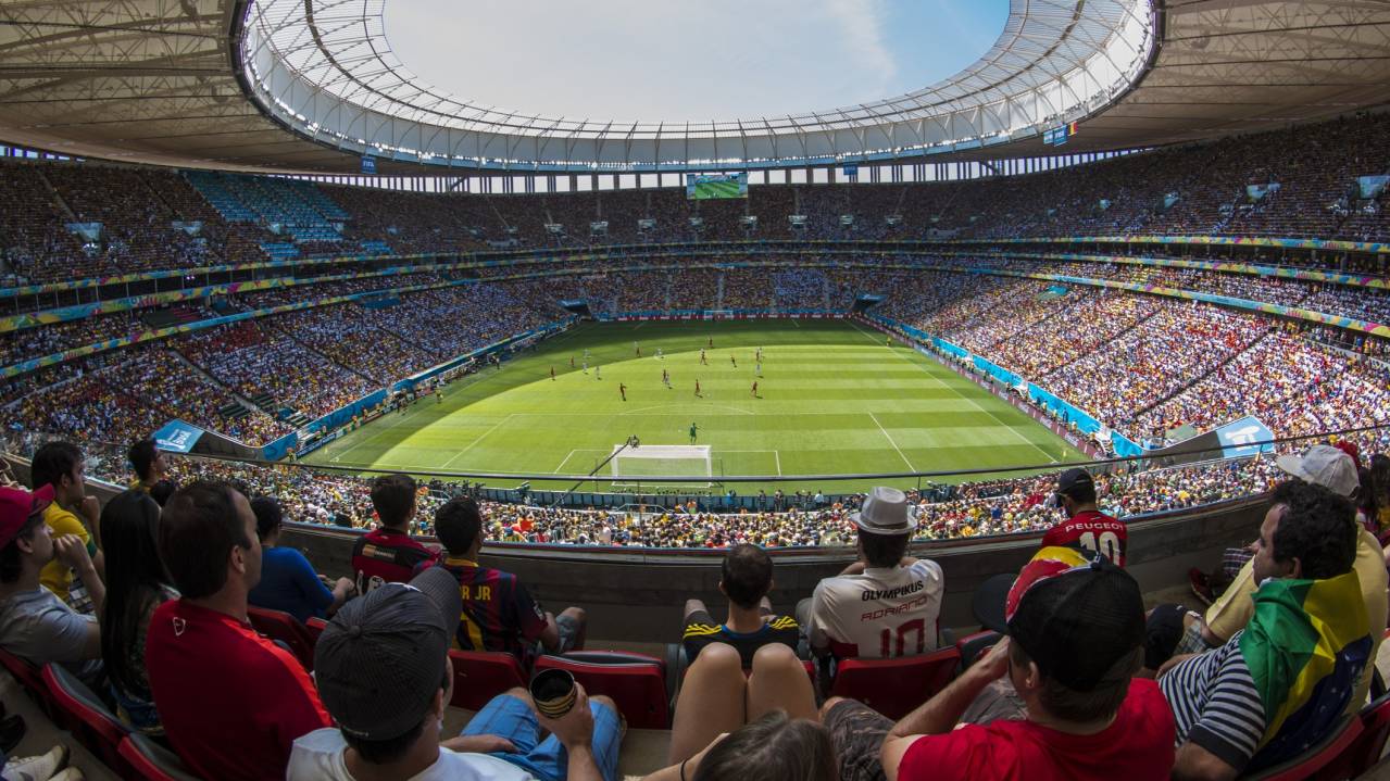 Fans watch a match at an international tournament