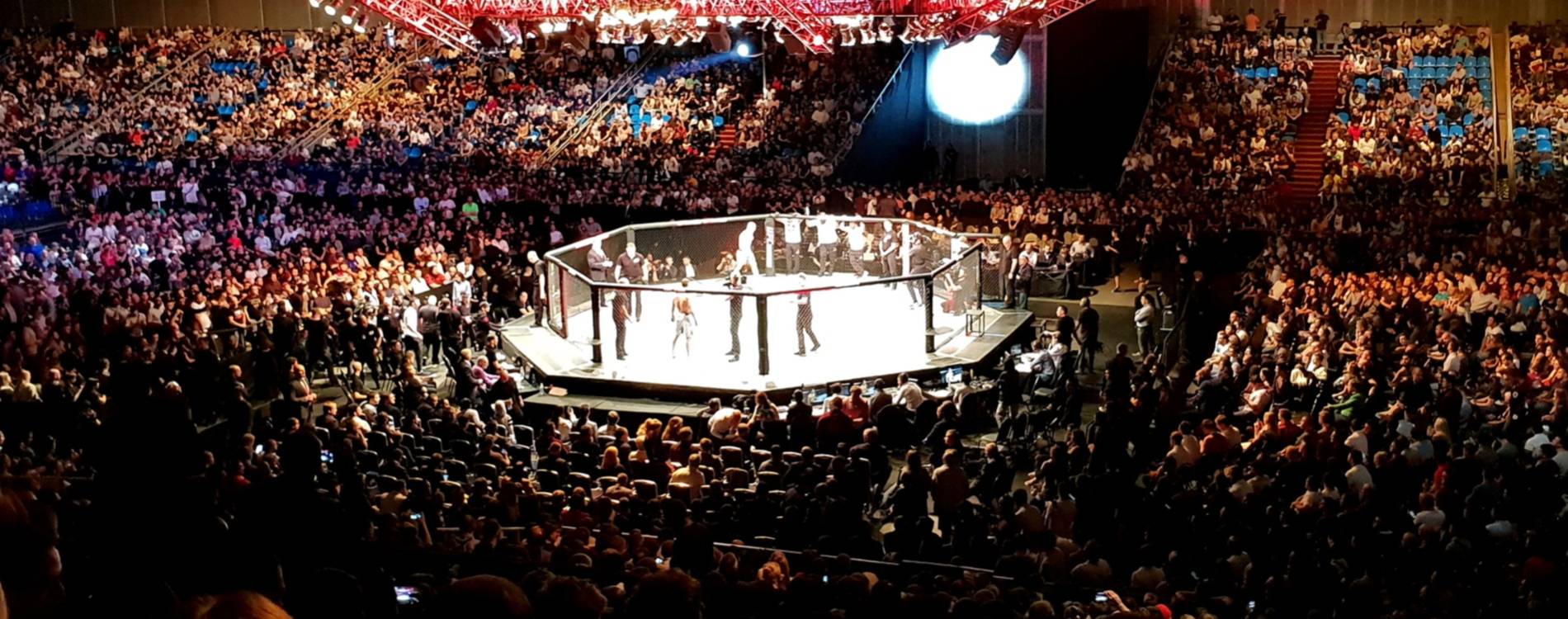 Fans watch a UFC fight from the stands