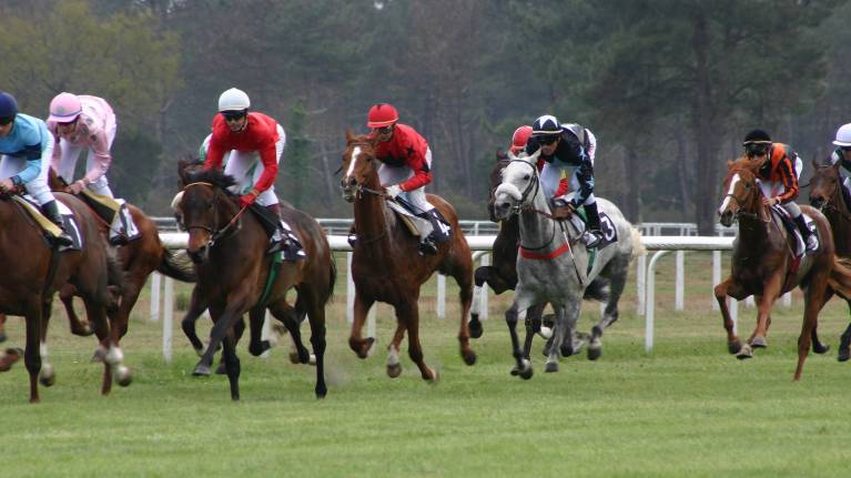 Festive Afternoon Flat Racing