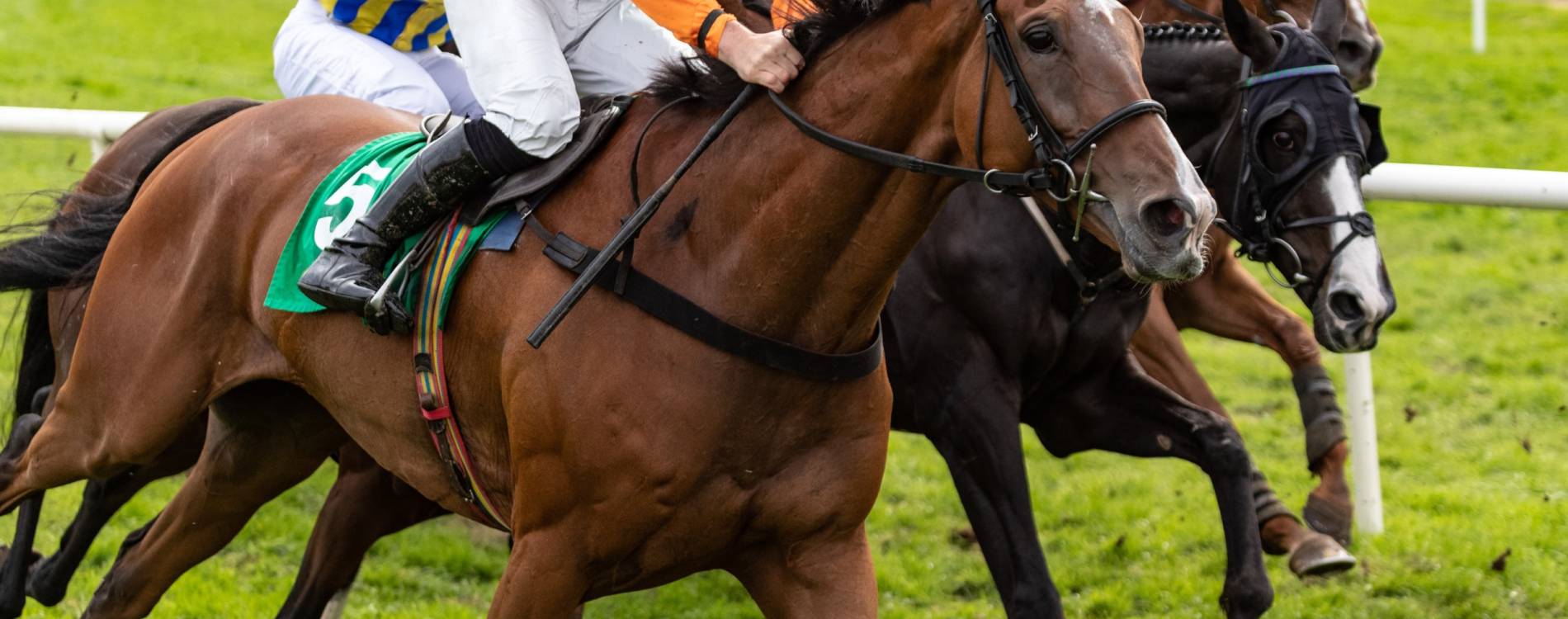 Festive Fling Raceday
