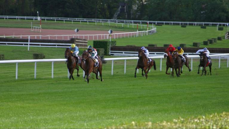Festive Friday Floodlit Flat Racing