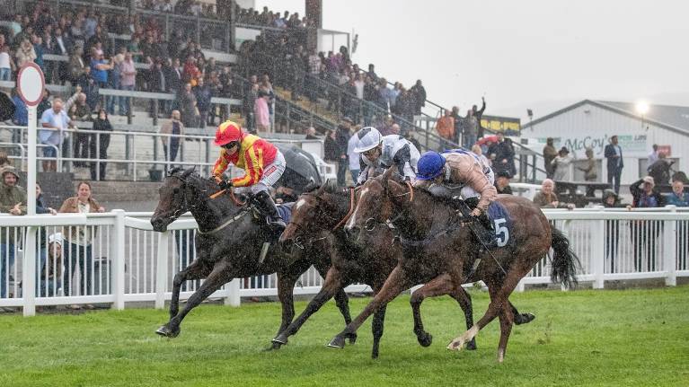 Christmas Party Raceday