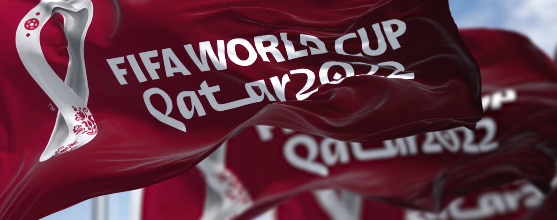 FIFA World Cup Qatar