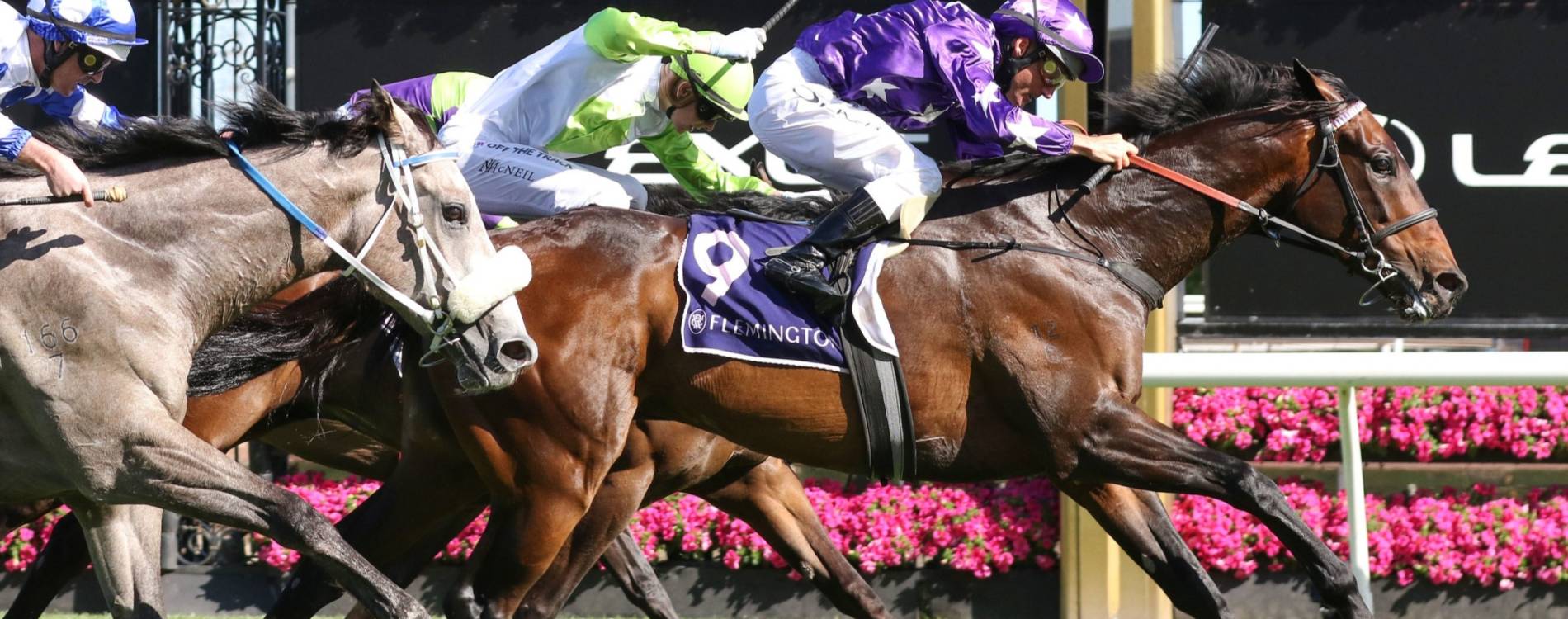 Flemington Finals Raceday Tickets 5 Jul 2025 Flemington Racecourse Koobit