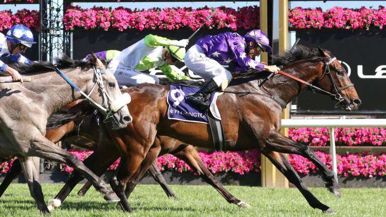 Flemington Finals Race Day