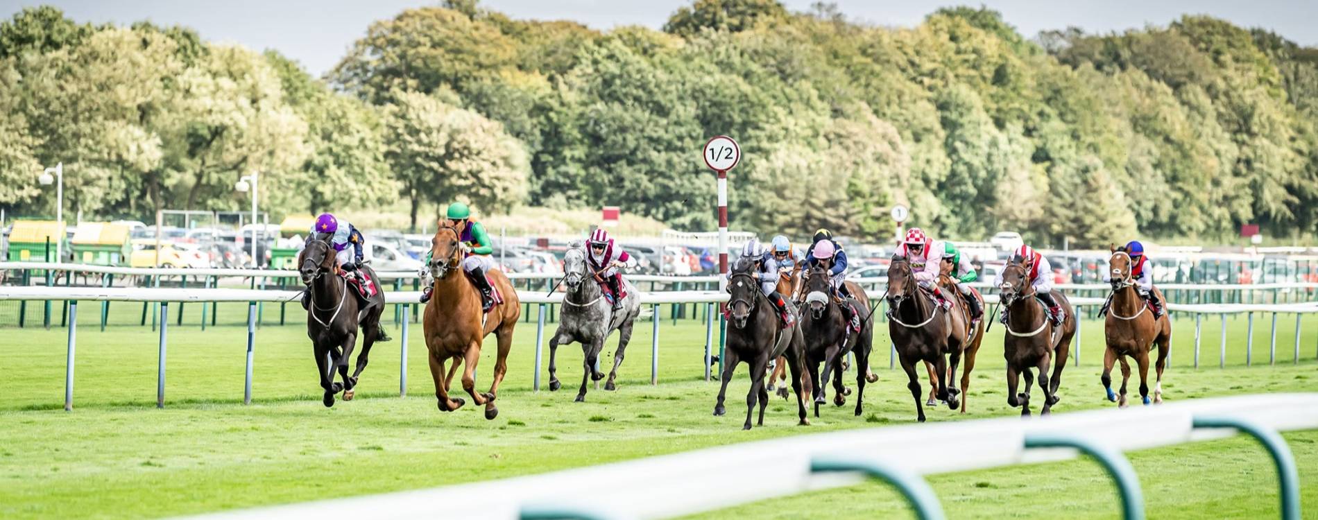Flat racing at Haydock