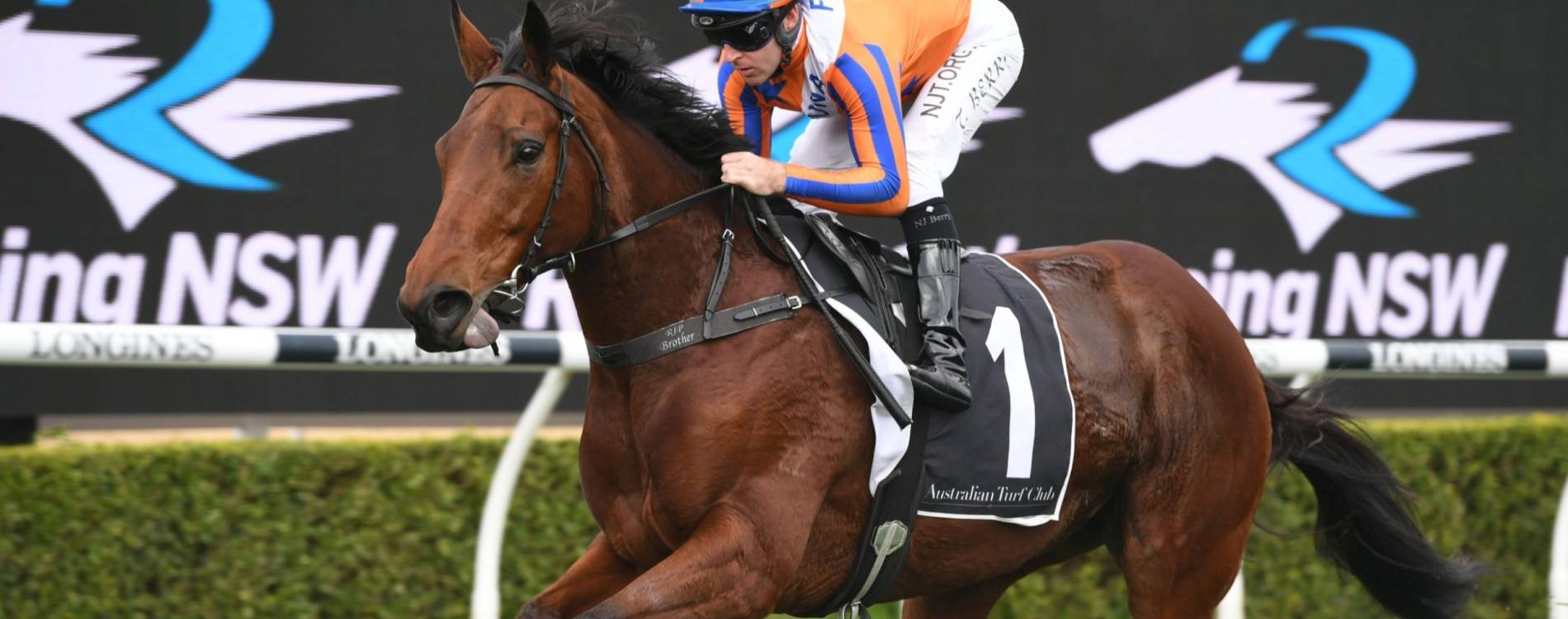 VRC Members Raceday Tickets 12 Jul 2025 Flemington Racecourse Koobit