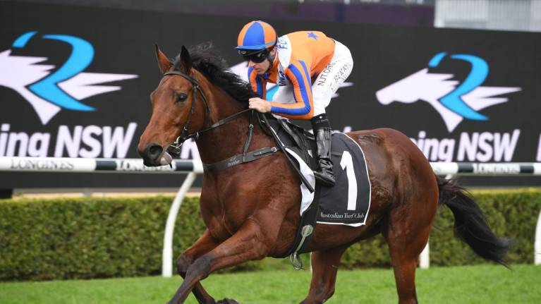 VRC Members Race Day