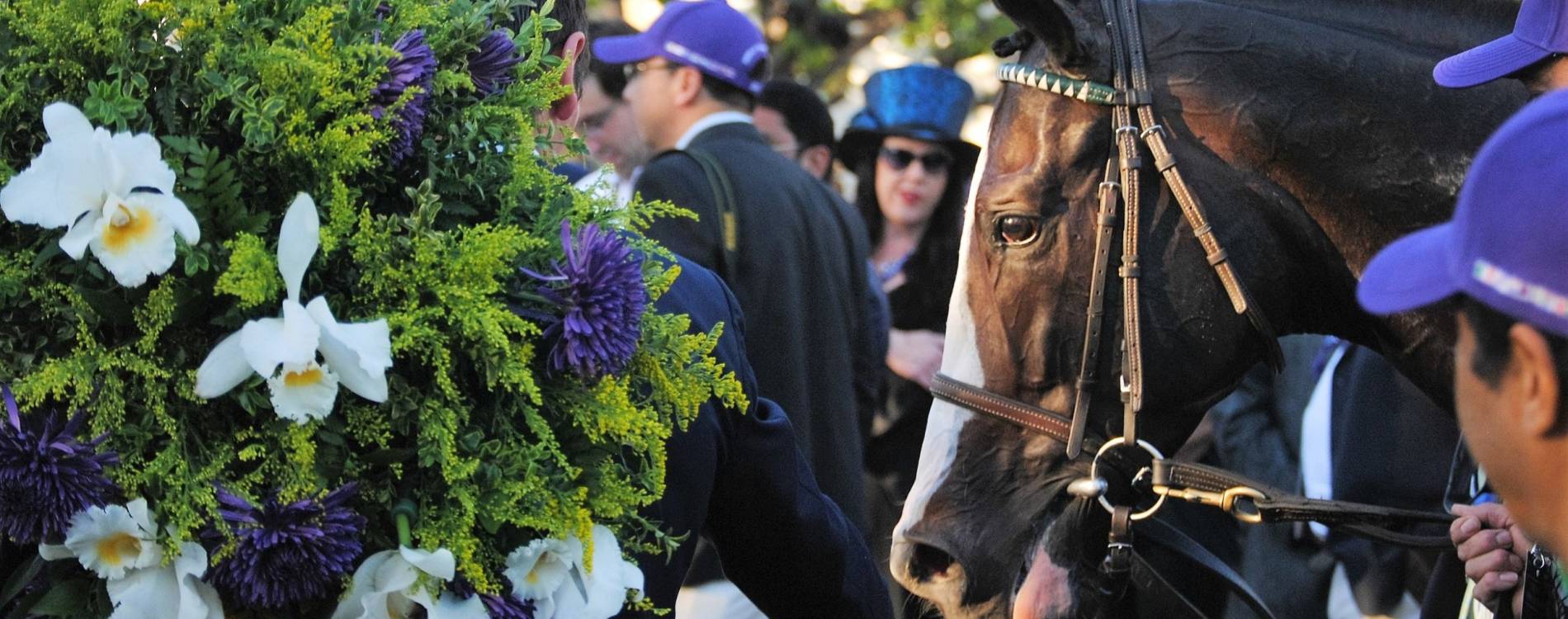 Flowers at Santa Anita