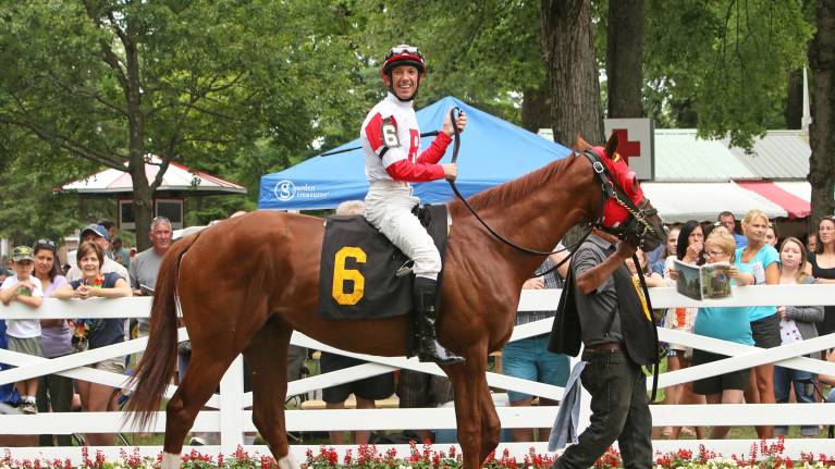 Frankie’s Final Farewell Fixtures