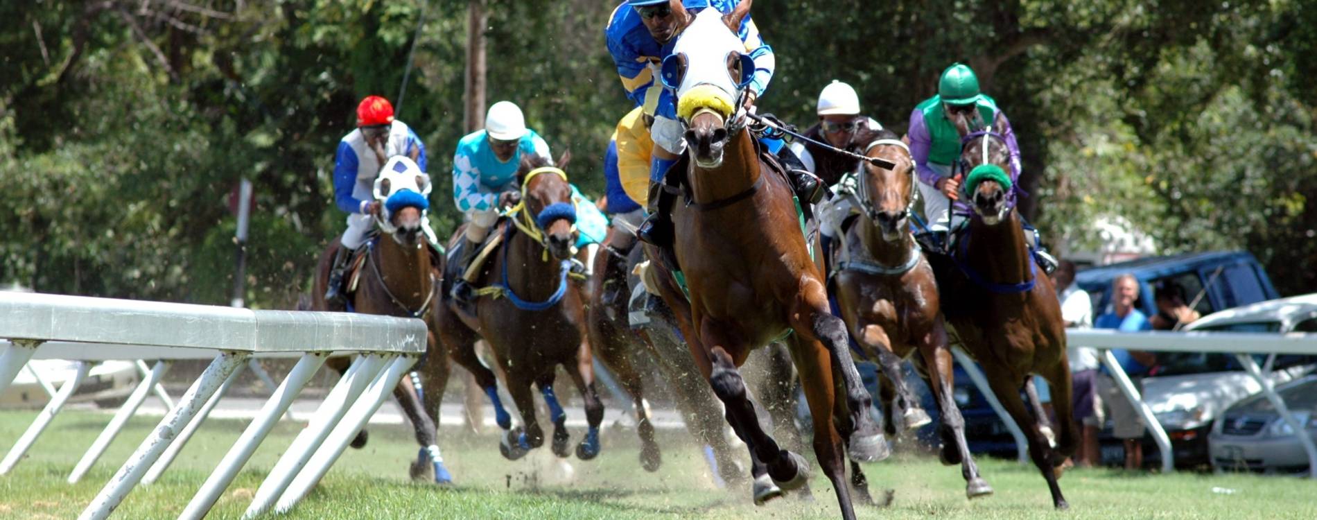 Friday Evening Ft. Jazz at the Races DJ